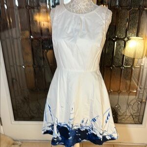 Elegant White and Blue Dress